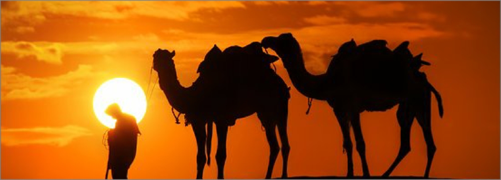 Toubkal y desierto Merzouga en Marruecos 9 Dias Toubkal y desierto Merzouga en Marruecos 9 Dias