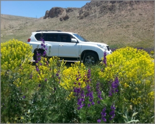 private 4 days desert tour from Casablanca,4 days Casablanca to Merzouga and camel trek