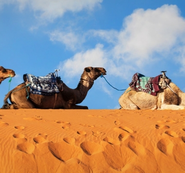 Guias De Atlas Marruecos