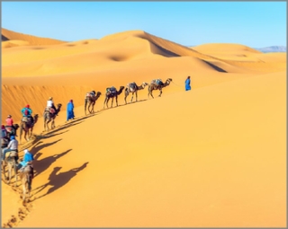 adventure Merzouga camel ride,Erg Chebbi camel excursion to camp